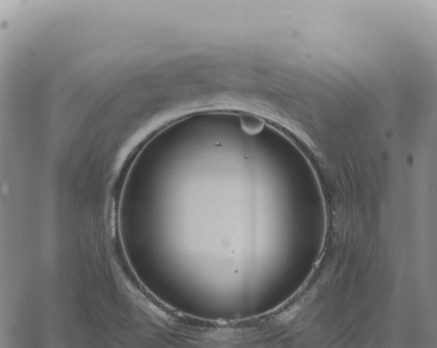 X0000063481510200601271642