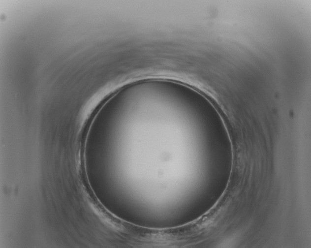 X0000063481511200601271642