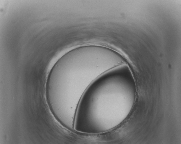 X0000063481512200601271642