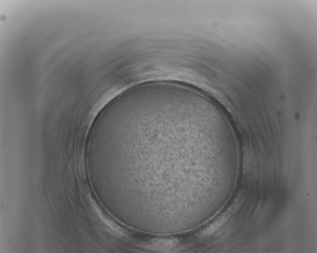 X0000063481513200601271642