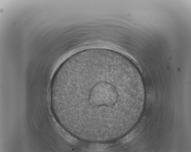 X0000063481514200601271642