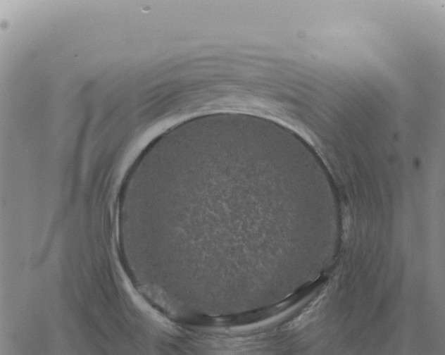 X0000063481515200601271642