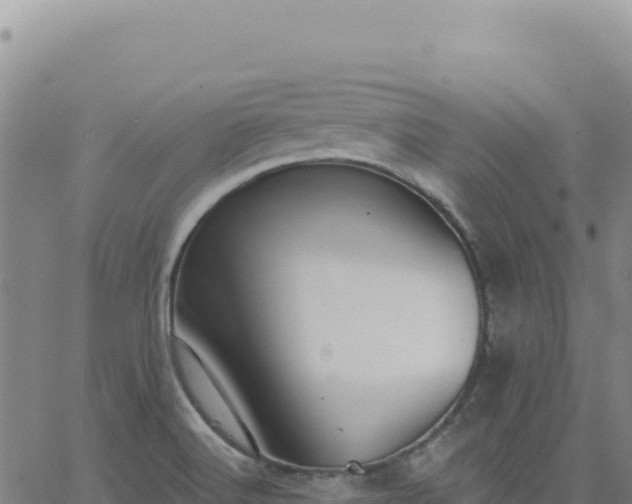 X0000063481516200601271642