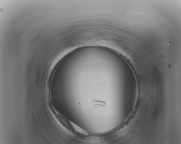 X0000063481517200601271642