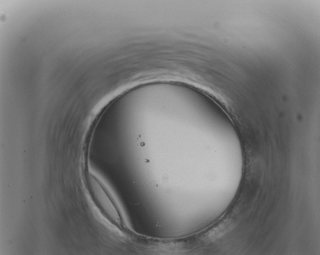 X0000063481518200601271642