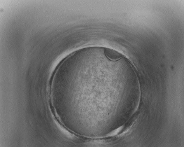 X0000063481519200601271642