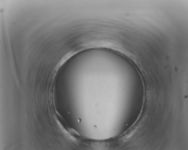 X0000063481521200601271642