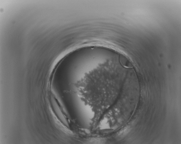 X0000063481522200601271642