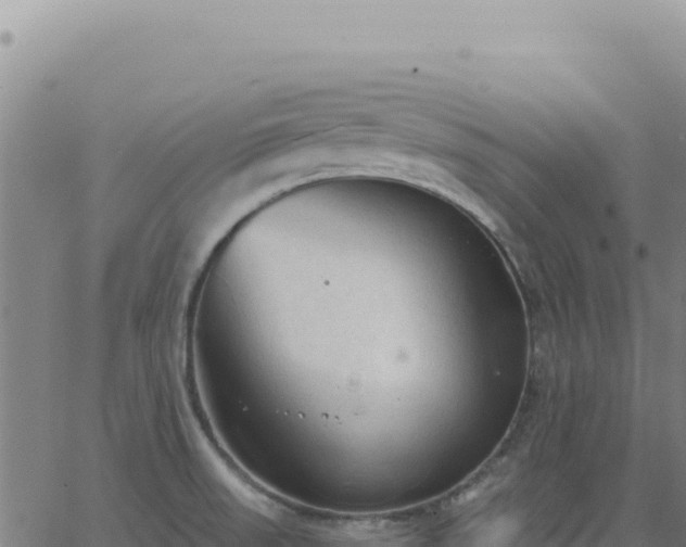 X0000063481523200601271642