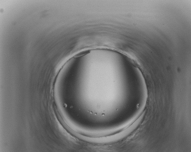 X0000063481524200601271642