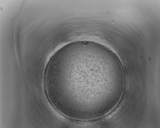 X0000063481525200601271642