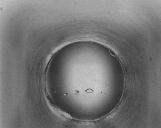 X0000063481526200601271642