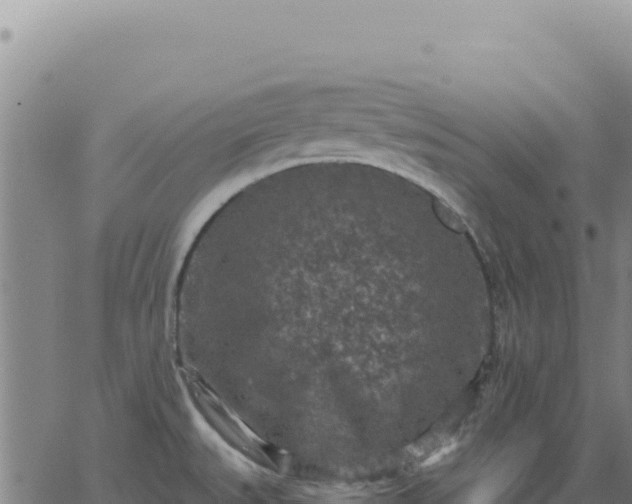 X0000063481527200601271642