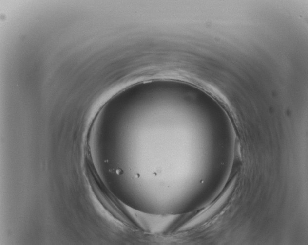 X0000063481528200601271642