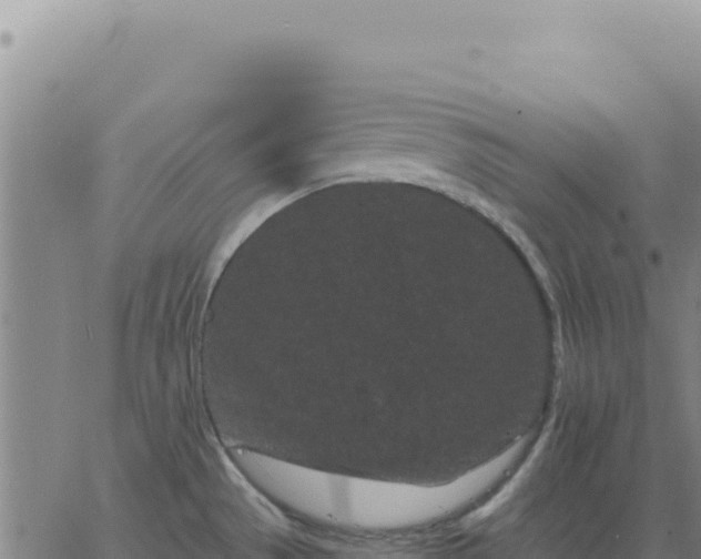 X0000063481529200601271642