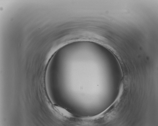 X0000063481530200601271642