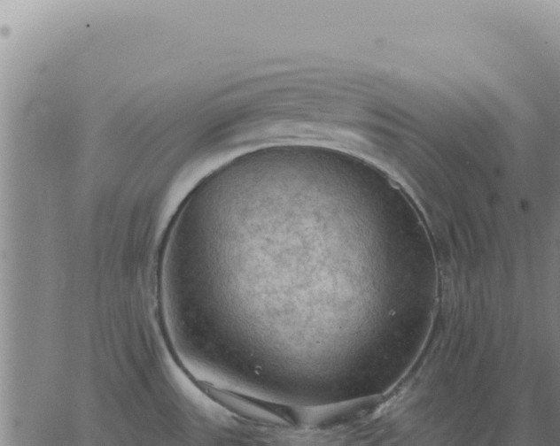 X0000063481531200601271642