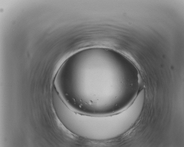 X0000063481532200601271642