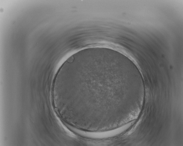 X0000063481533200601271642