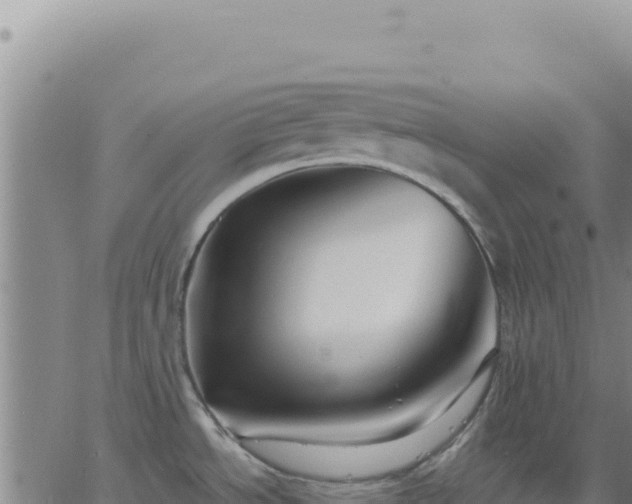 X0000063481534200601271642