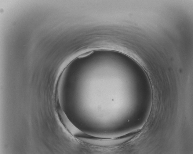 X0000063481536200601271642