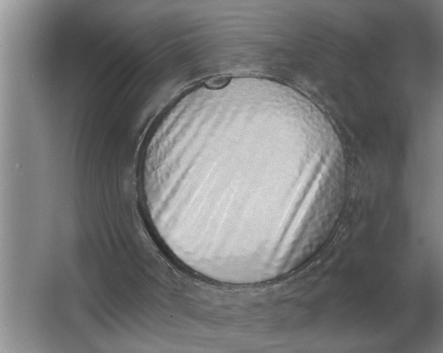 X0000063480002200602031938