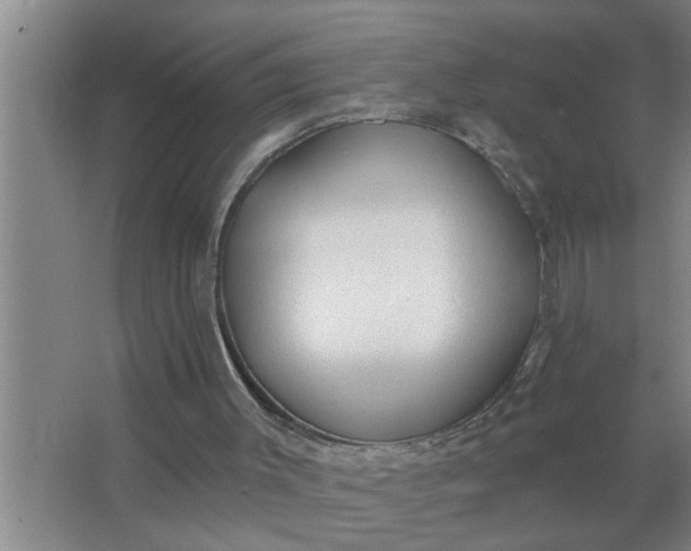 X0000063480003200602031938