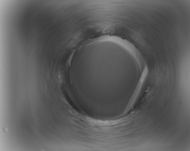 X0000063480039200602031937