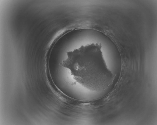X0000063480054200602031936