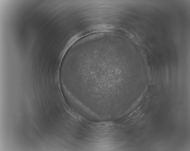 X0000063480099200602031936