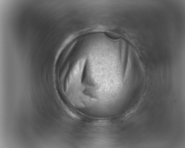 X0000063480102200602031936