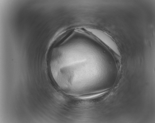 X0000063480198200602031934