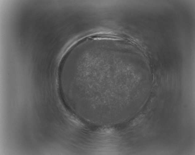 X0000063480247200602031933