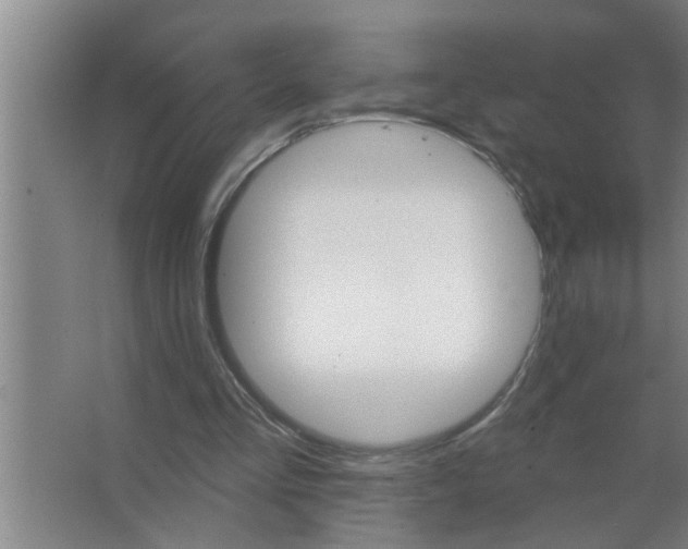 X0000063480293200602031933