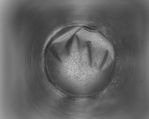 X0000063480342200602031931