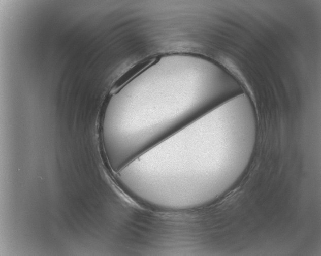 X0000063480389200602031931