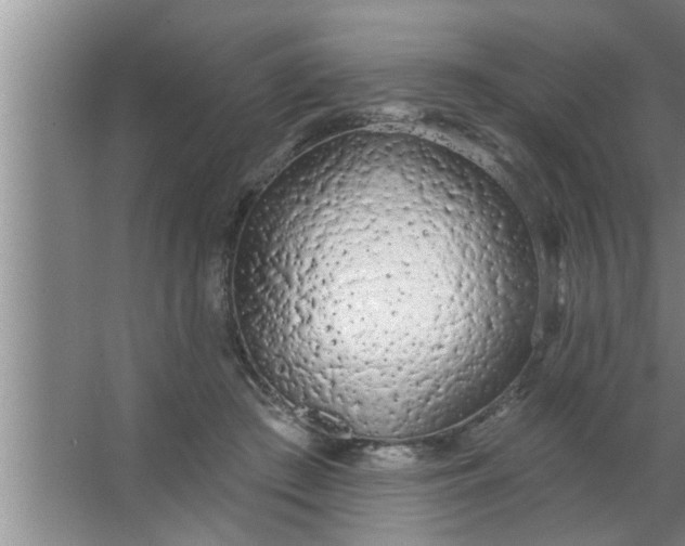 X0000063480409200602031931
