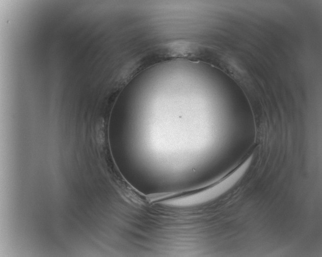 X0000063480413200602031931