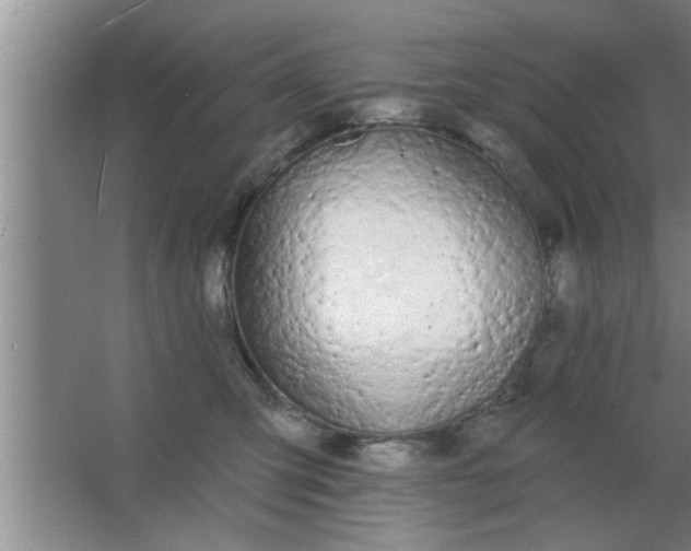 X0000063480423200602031930