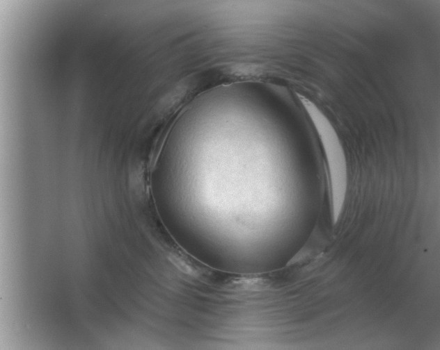X0000063480428200602031930