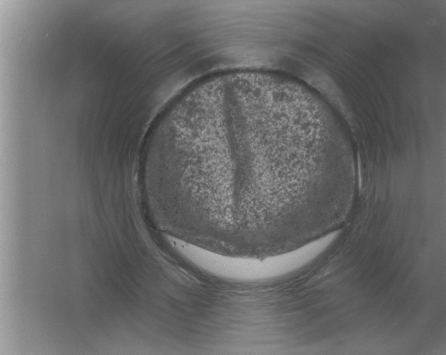 X0000063480483200602031929