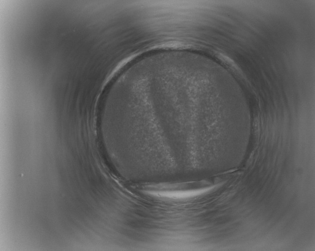 X0000063480484200602031929