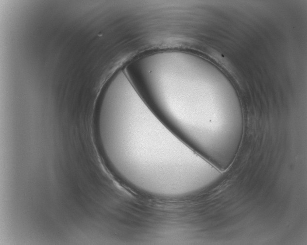 X0000063480485200602031929