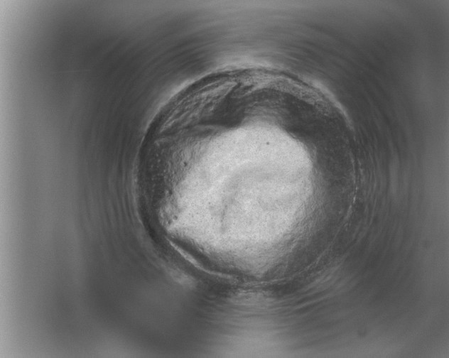 X0000063480487200602031929