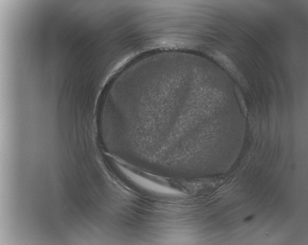 X0000063480488200602031929