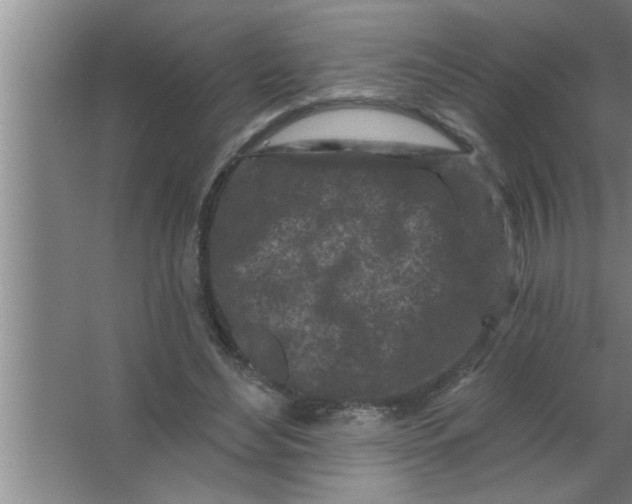 X0000063480492200602031929