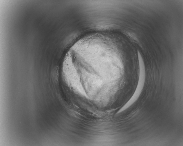 X0000063480495200602031929