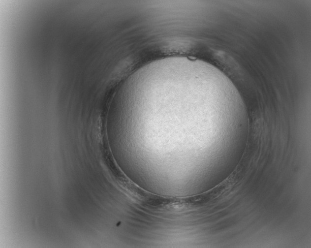 X0000063480498200602031929