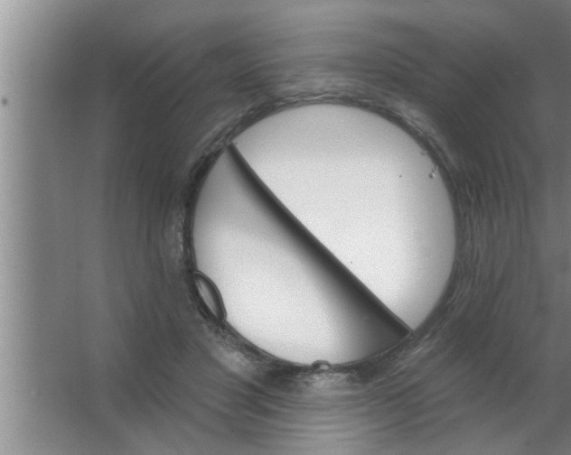 X0000063480501200602031929