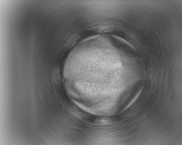 X0000063480506200602031929